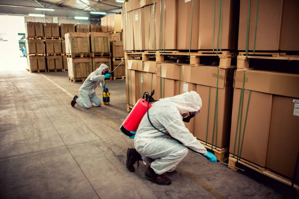 Wildlife Control Services in Alsip, IL