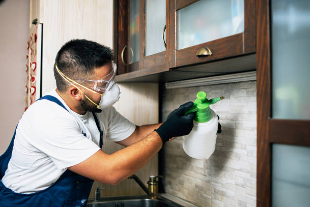 Best Commercial Pest Control Services  in Alsip, IL