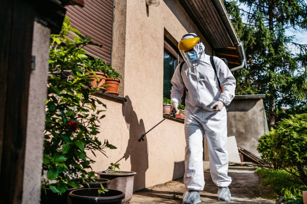 Best Pest Inspection Near Me  in Alsip, IL