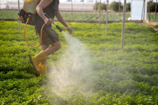 Pest Prevention Services in Alsip, IL