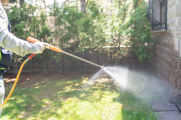 Best Residential Pest Control  in Alsip, IL