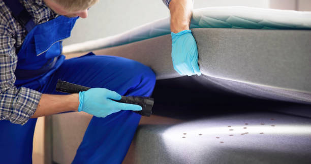 Best Flea Control Services  in Alsip, IL