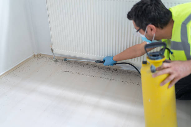 Trusted Alsip, IL Pest Control Experts
