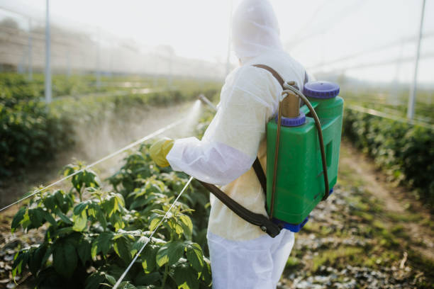 Best Pest Control for Homes  in Alsip, IL